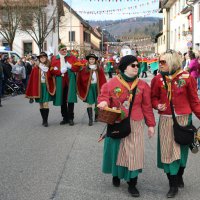 Jubiläumsumzug Schergässler